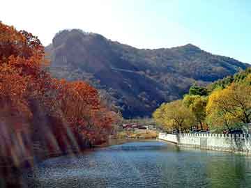 管家婆黑白马报图库，孔雀蓝山鸡